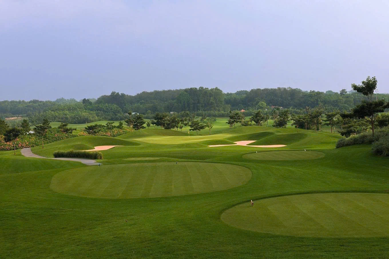 Sân golf Twin Droves Golf Club